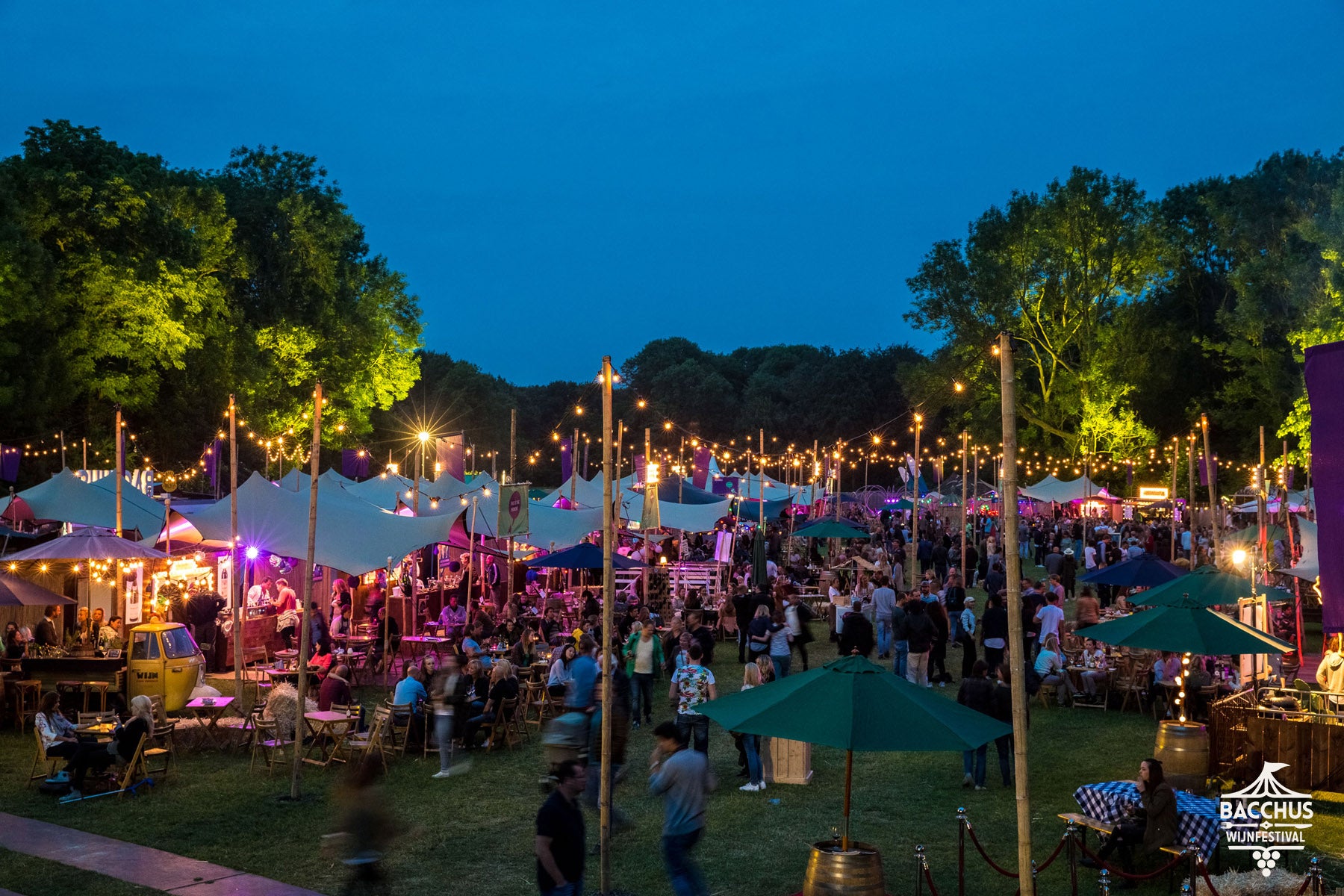 Festival Season Is Upon Us!